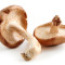 Shiitake-Pilze